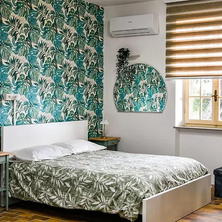 Villa Mary Jungle Porto SantʼElpidio